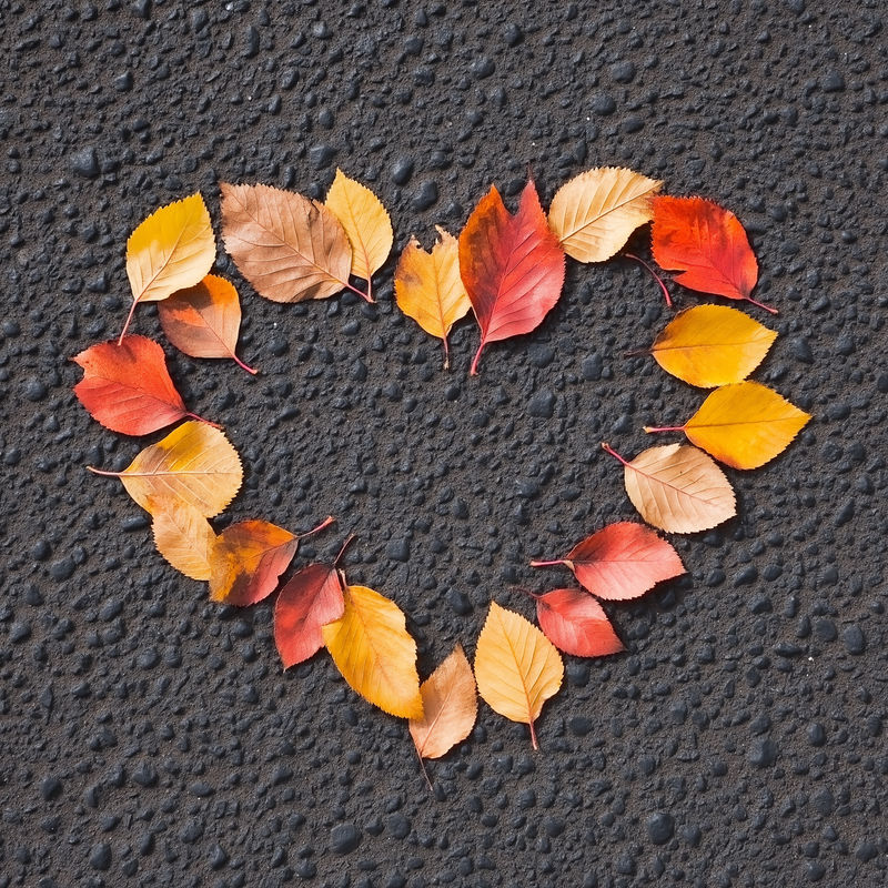 Autumn Warriors